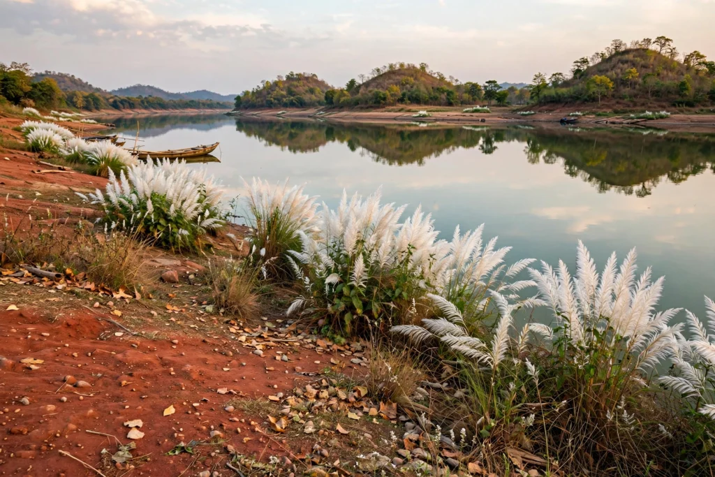 Best 5 Travel destinations in Puja
